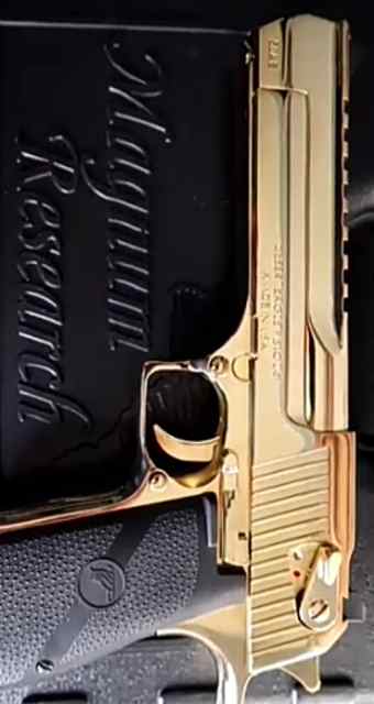 Desert Eagle 50AE 