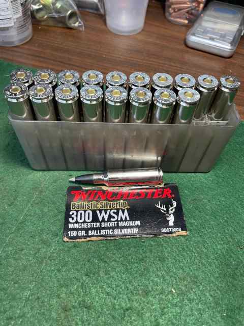 300 WSM Ammo