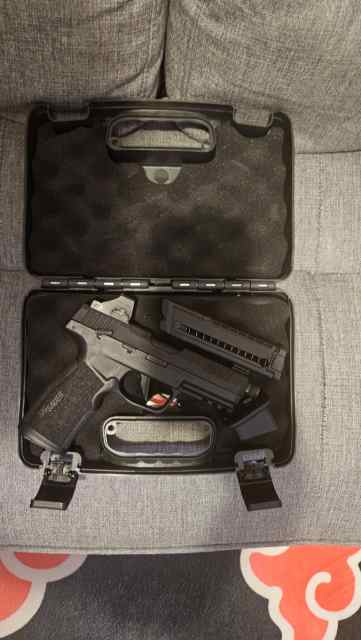 Sig P322 with Holosun red dot 