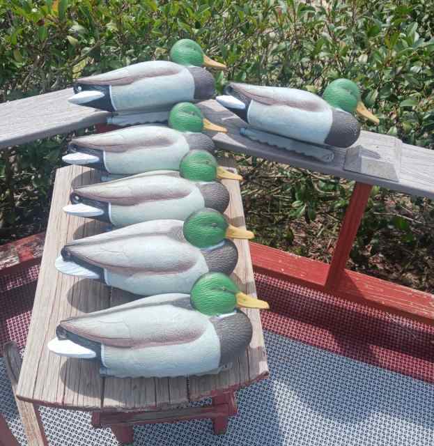 WTS .. Mallard Duck Decoys - 6 Red Head Brand
