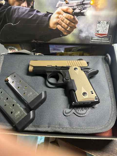 Kimber micro 380 FDE crimson trace 595
