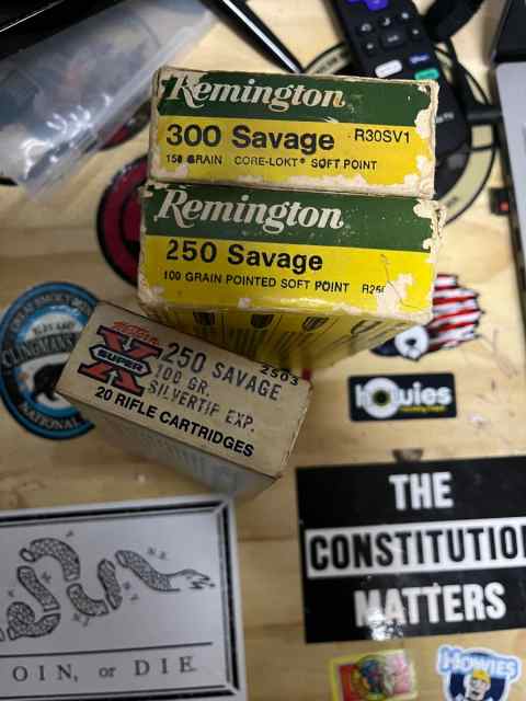 .250 Savage/.300 Savage