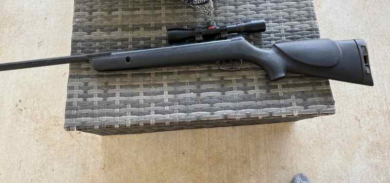 Gamo Big Cat 1250 .177 cal