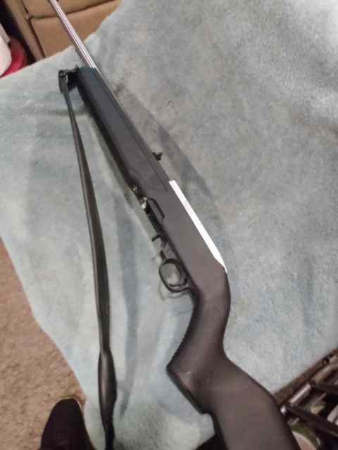 Ruger 10/22 .22lr SS barrel BX trigger 10 rd clip.