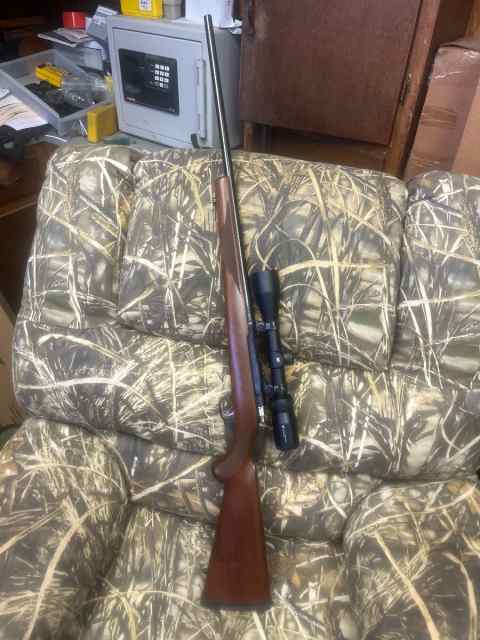 Ruger 77/17. 17 HMR 