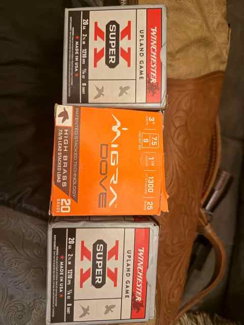 20 gauge ammo 