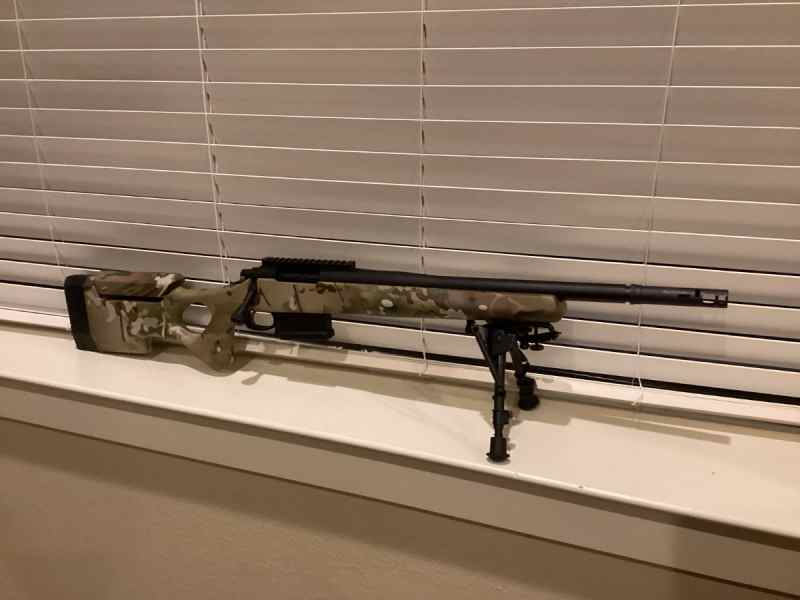 GA Precision Gladius .308 