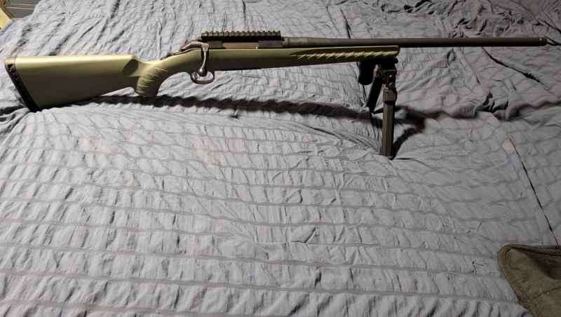 Ruger Gen1 predator 6.5 Creedmoor 