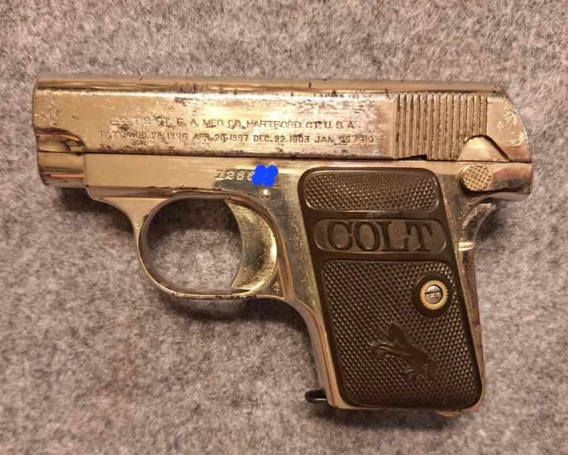 colt2.jpg