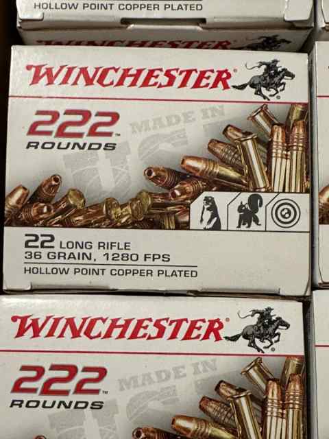 .22LR 36 Gr. HP Winchester - 2220 Rounds