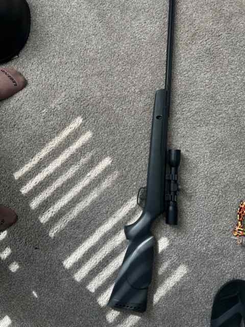 Gamo Hornet