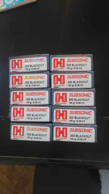 Hornady Subsonic 300 BLACKOUT