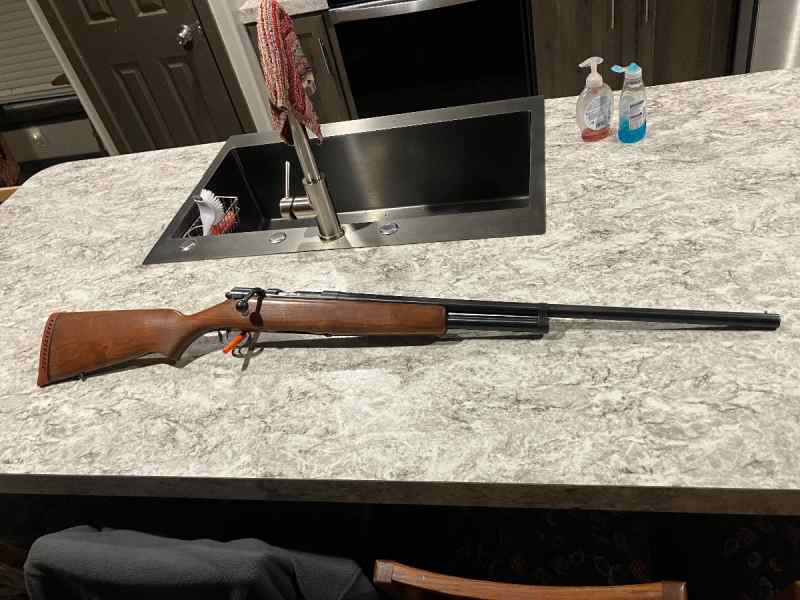 16 guage sears and roebuck with ammo