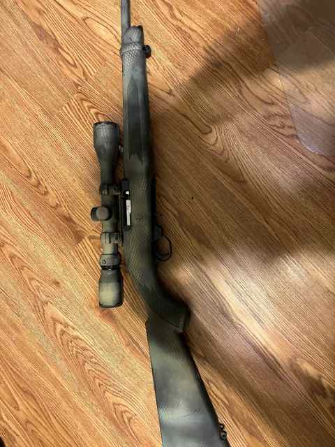 Ruger 10/22 with factory scope