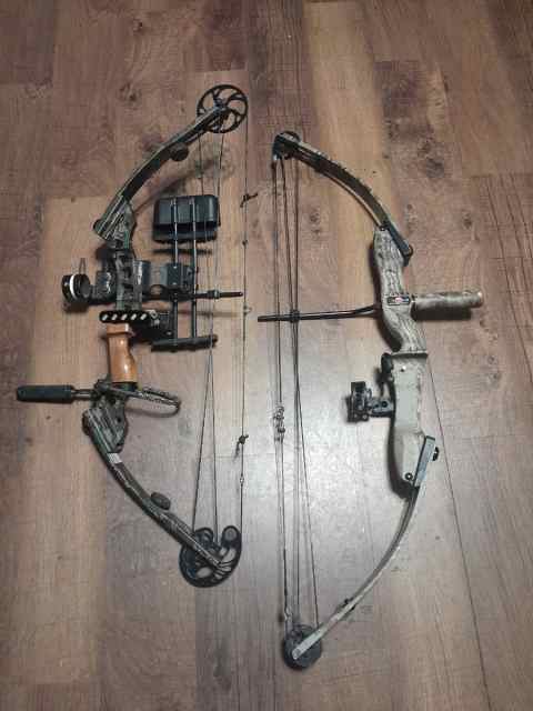 Matthew&#039;s solo cam bow, Hoyt Rebel bows