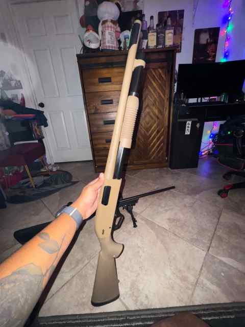 Winchester sxp 