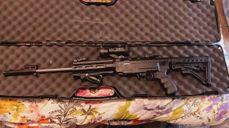 Ruger 10/22 Archangel stock 3 mags