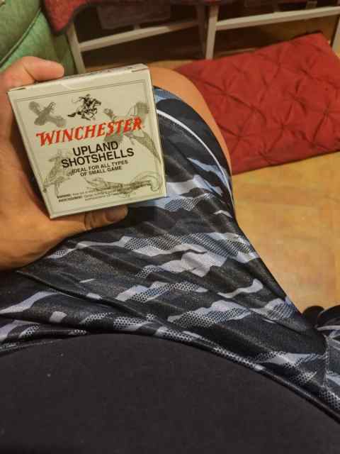 Winchester Upland Heavy Game Loads 20 gauge