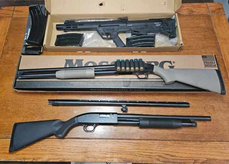 12 gauge shotguns 