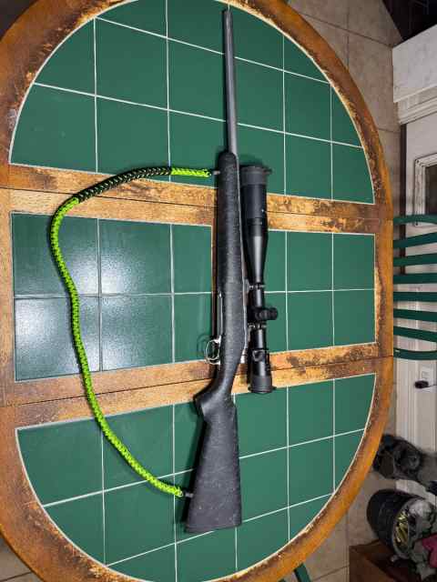 Remington 700 chambered in 308